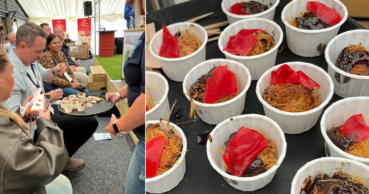 Josh Angus at TSC Live at UCFF